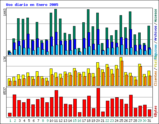 Uso diario en Enero 2005