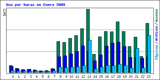 Uso por horas en Enero 2009